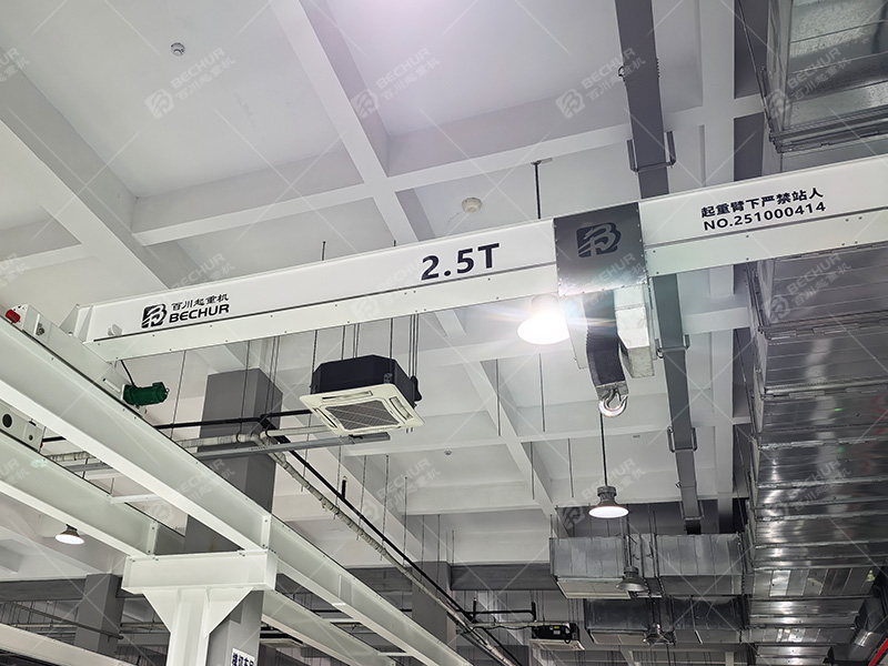 十万级洁净单梁行吊
